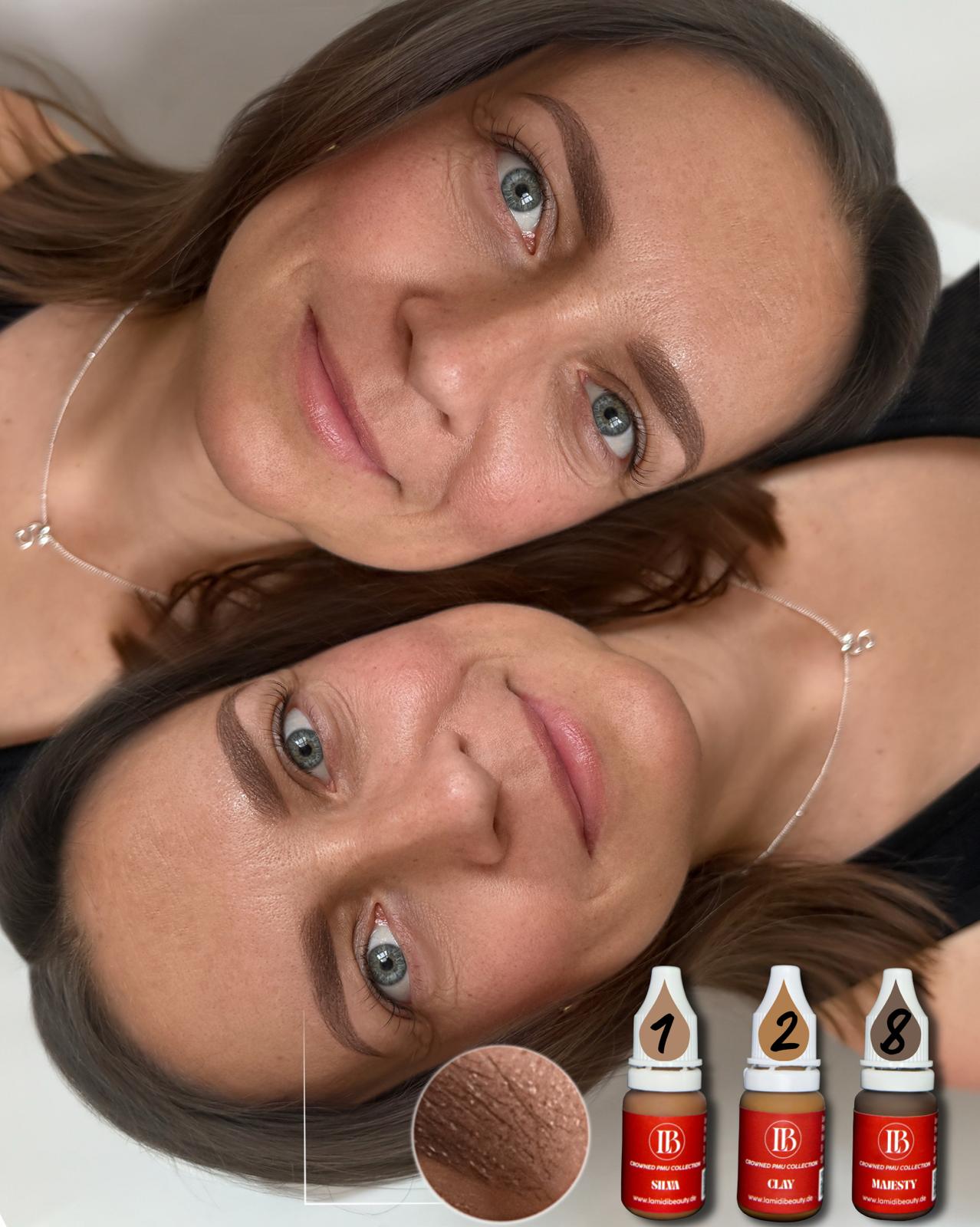 CROWNED PIGMENT BROWS - SILVA