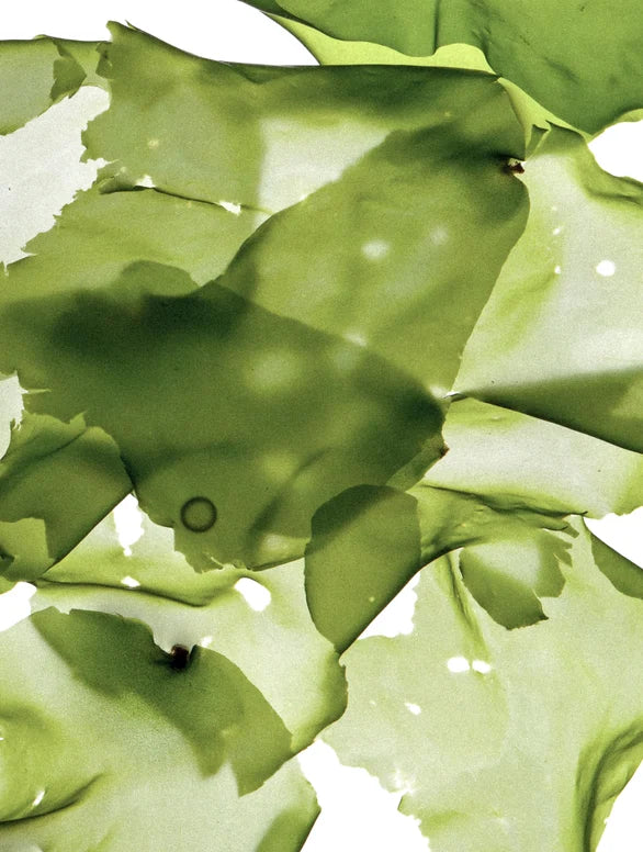 Clay Mask for Pores and Blackheads